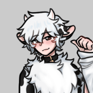 mooimimo