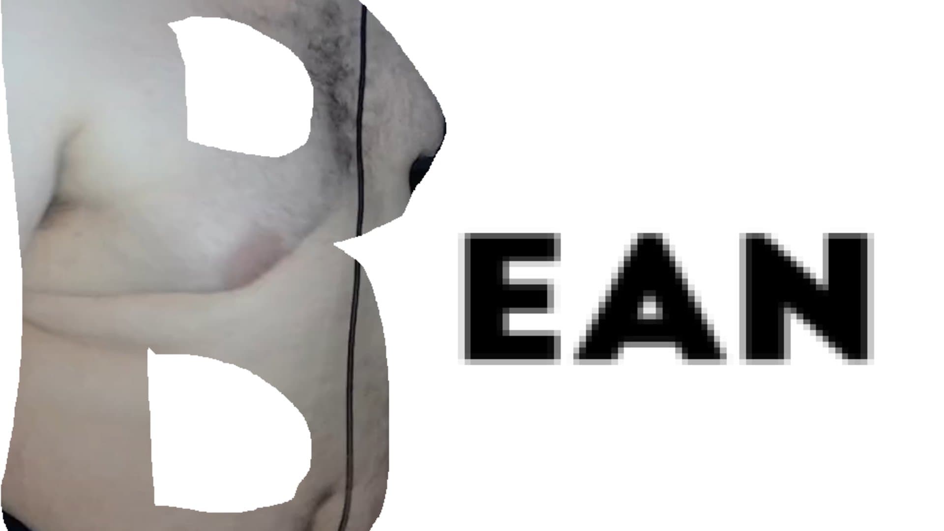 Bean