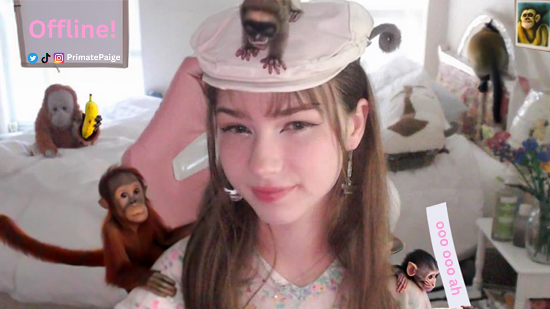 PrimatePaige
