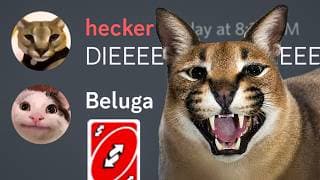 Beluga vs Hecker (Mega Compilation)