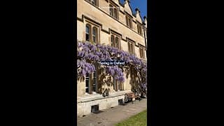 Spring in Oxford 🌸 #OxfordUniversity