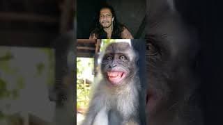 Ultimate Funny Monkey Moments Challenge