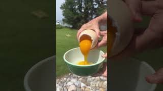 Engineers vs GIANT Egg Drop