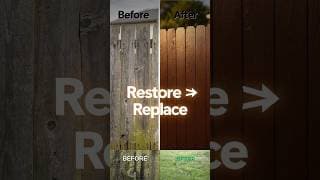 Fence Restoration: Watch This Old Fence Come Back to Life!