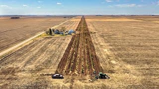 Why America Planted 220 Million Trees From Canada to Texas