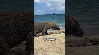 5 Animals That Keep Growing Their Entire Lives! 😱