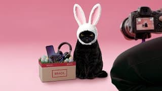 Falscher Hase. Echte Deals.