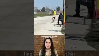 Workers Saw This Dog Every Day But Couldn't Get Close | The Dodo