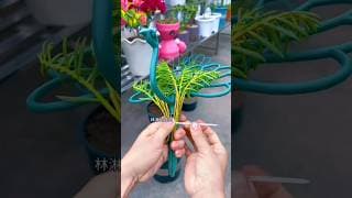 The Smarter Way to Grow Flowers at Home 🌼 #SmartGardening #FlowerGrowing
