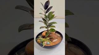 Where Green Feels Peaceful 🌿💚  #shorts #ytshorts #indoorplants #plantdecor #homegardening #plants