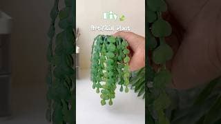 Artificial Plant🍃 #artshorts #diy #shortviral #diycrafts #artificialplants #craft #craftideas