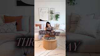 How I THREW AWAY my PLANT?! #shorts #plants #houseplants #indoorplants #plantcare #alocasia #tips