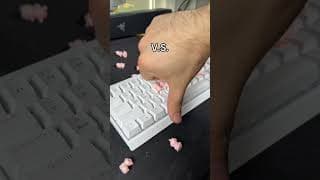 Pig KEYBOARD?!? #shorts