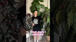 A Good Rule of Thumb for the Right Houseplant Potting Mix
