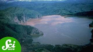 Cameroon’s Deadly Lake Bomb Has Been Diffused