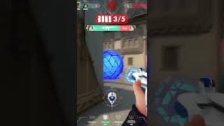 best OG walls