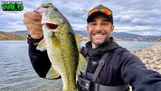 Shad Blowups, Rain, and a Rental Boat? — Castaic Lake Fishing