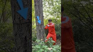 Pocket chainsaw