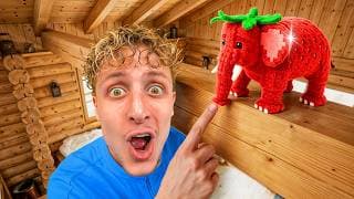 Celui qui Trouve le plus de Brainrots Gagne !