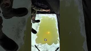 La física que hay detrás del lanzamiento perfecto de la jabalina #fishing #technique