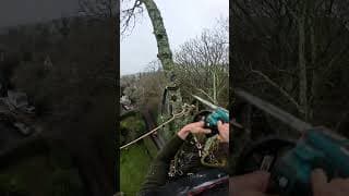Speed line slings #skills #climbing #arb #treework