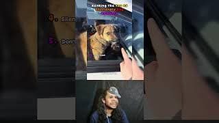 Top 5 Unfriendly Dog Moments