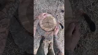 POV!!!