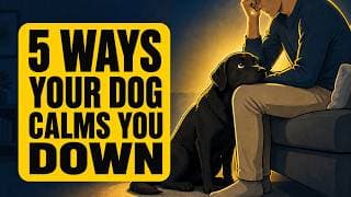 5 Secret Things Dogs Do Only for Their Favorite Person (Most People Don’t Notice)