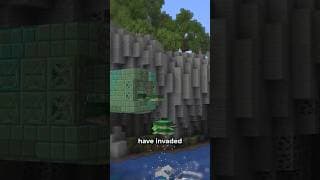 Turtles have taken over my world...