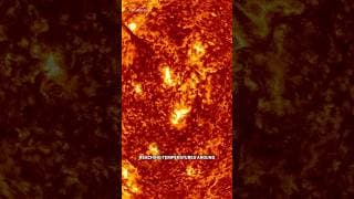 What The Sun REALLY Looks Like
