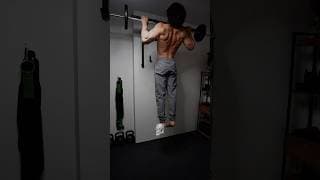 Calisthenics + Gym