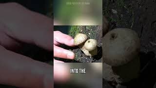 just spit it out...