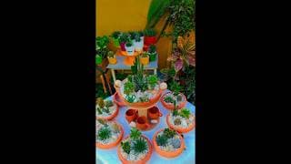 unique succulent #subscribe #plants #shorts pp