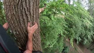 ISC reflex climb