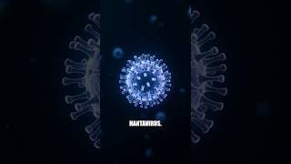 What Happens If You Get the Hantavirus? #AndesVirus #HantaVirus #Virus #Health #Science #Shorts