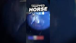Officers Rescue Trapped Horse In Barn Fire