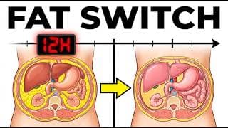 The Exact Hour Your Belly Fat Starts Melting During A Fast (Science)
