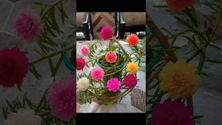 portulaca topiary blooming 😍 #subscribe #diy #shortvideo