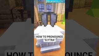 We're all saying ELYTRA WRONG! 😭