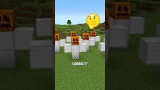 Minecraft Mechanics You Never Understood