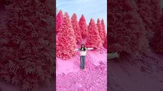 Most beautiful places on earth#travel #adventure #nature #shorts