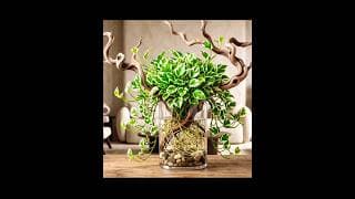 indoor planting ideas #subscribe #indoorgardening #shorts