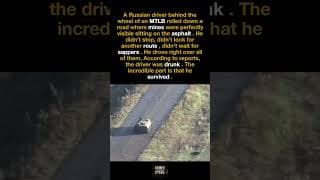 A Drunk Russian Driver Rides His MTLB Over Clearly Visible Mines