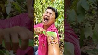 Top Amazing Unique Survival Camping Skills.