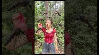 Bushcraft Skills: Clever and Useful ideas in forest #outdoors #bushcraft #clever #useful #shorts