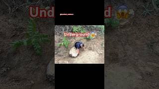 Underground survival 😳😱 | bushcraft survival outdoor #campping #bushcraft #survival #offgrid