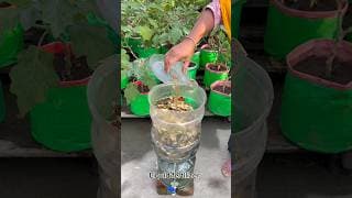 Simple Way to Make Organic Liquid water from Kitchen Waste for Fertilize plants #garden #shorts
