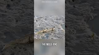 moist...