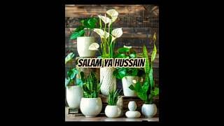 Salam ya Hussain #subscribe #plants #gardening #shorts
