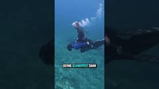 Was steckt wirklich im Poolwasser? 🔬😨